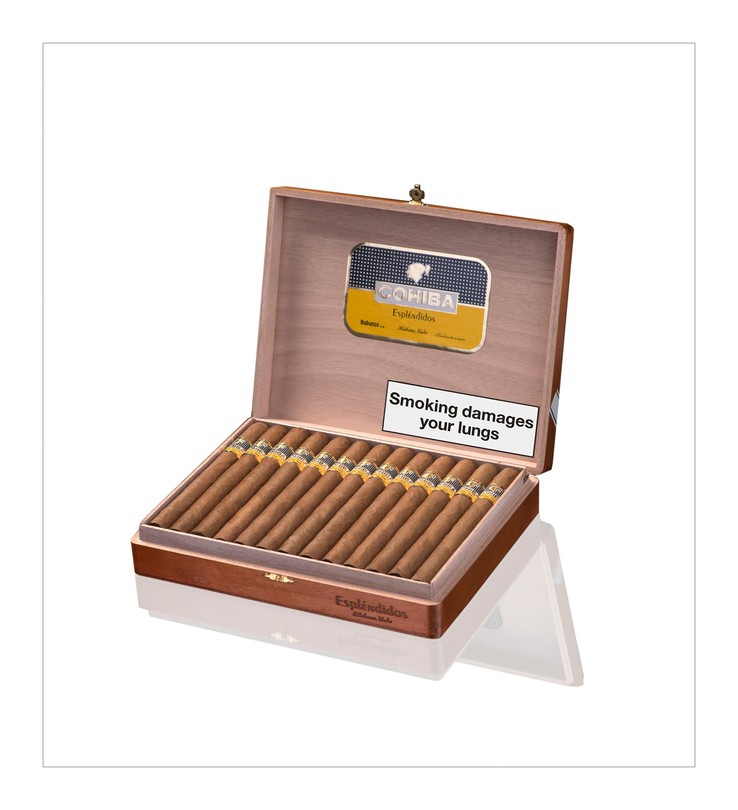 Cohiba Esplendidos Box of 25