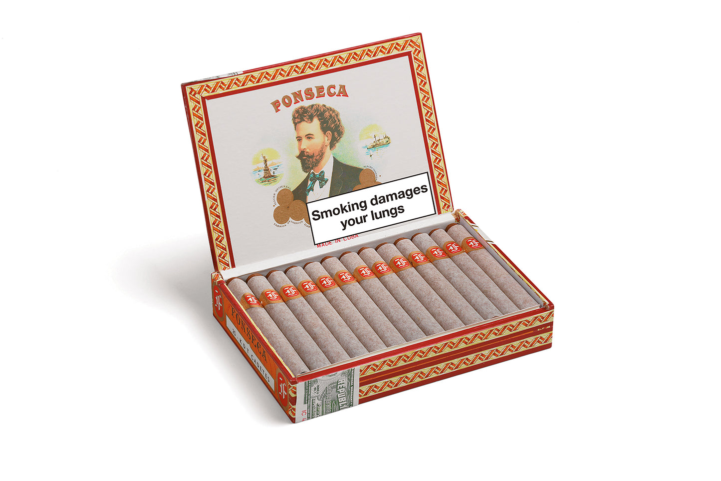 Fonseca KDT Cadetes Box of 25
