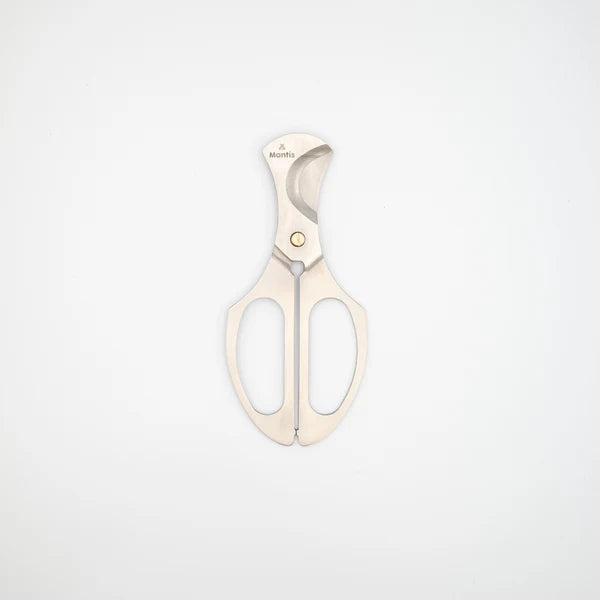 Katanami Cigar Scissors - Table